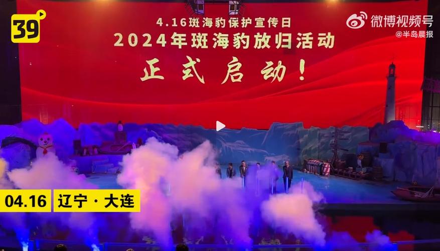 新奥今晚开一肖一特讲解词语和9只斑海豹放归大海与9只斑海豹放归大海了吗